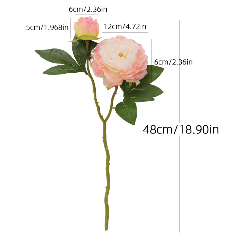 Flor de simulación de peonía R - Photography Lighting Simulation reseña y precio